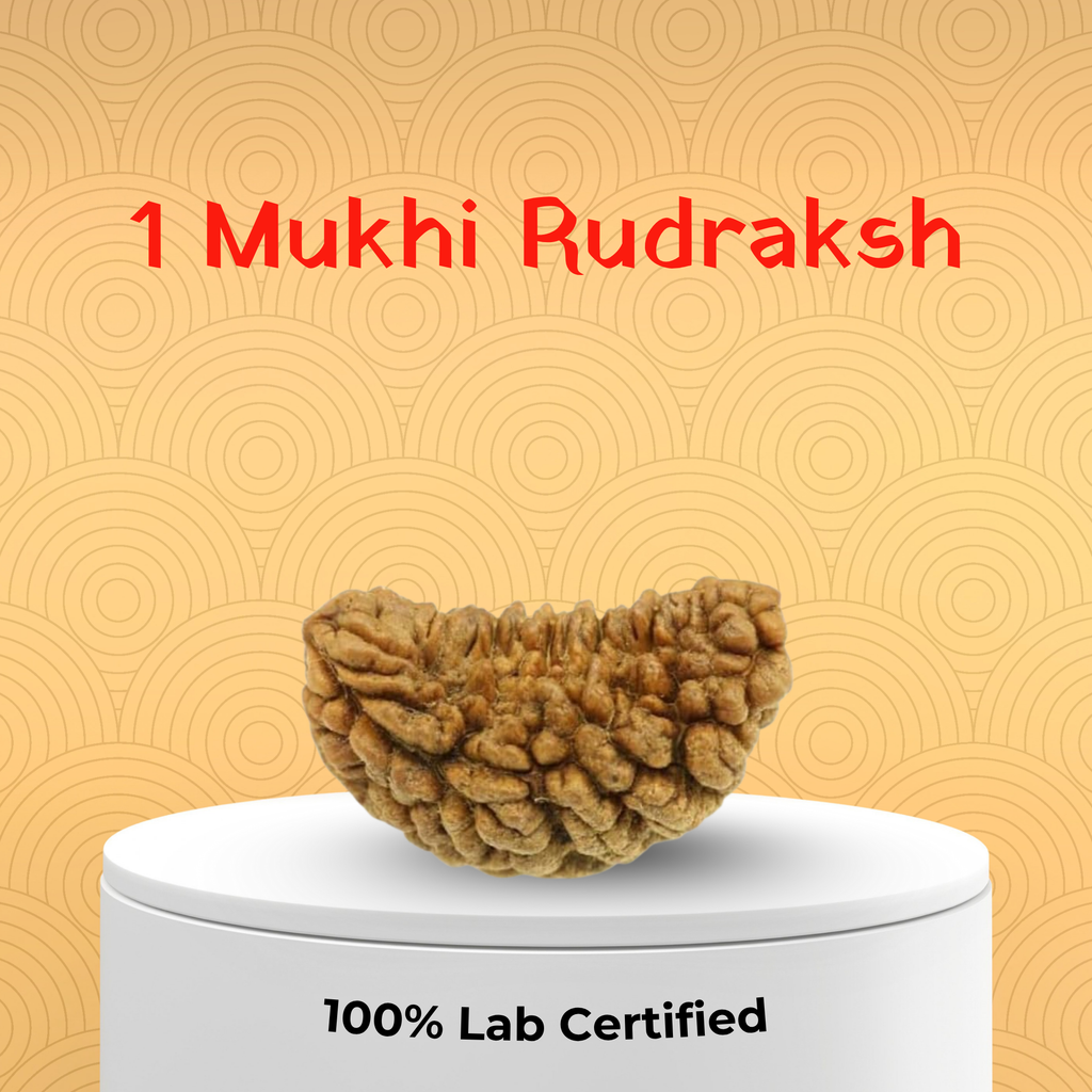 1 Mukhi Rudraksh