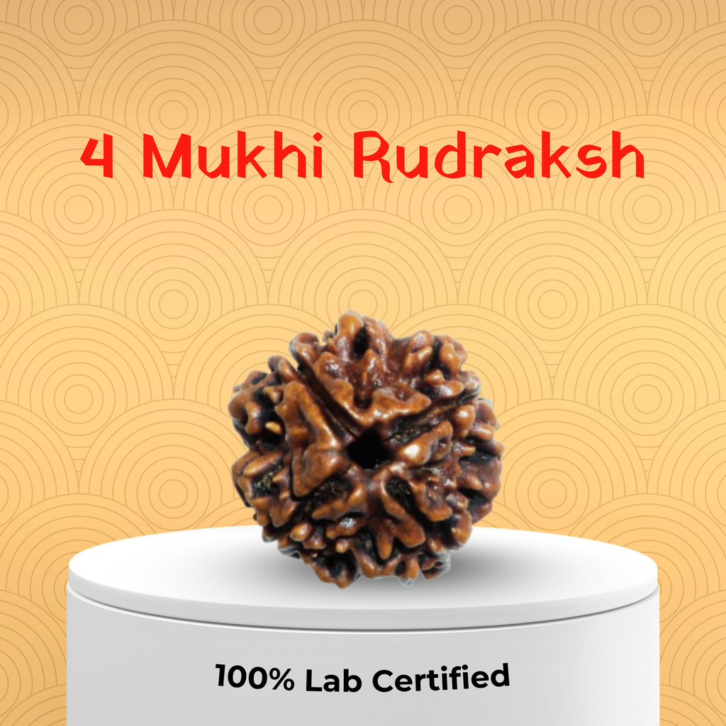 4 Mukhi Rudraksh