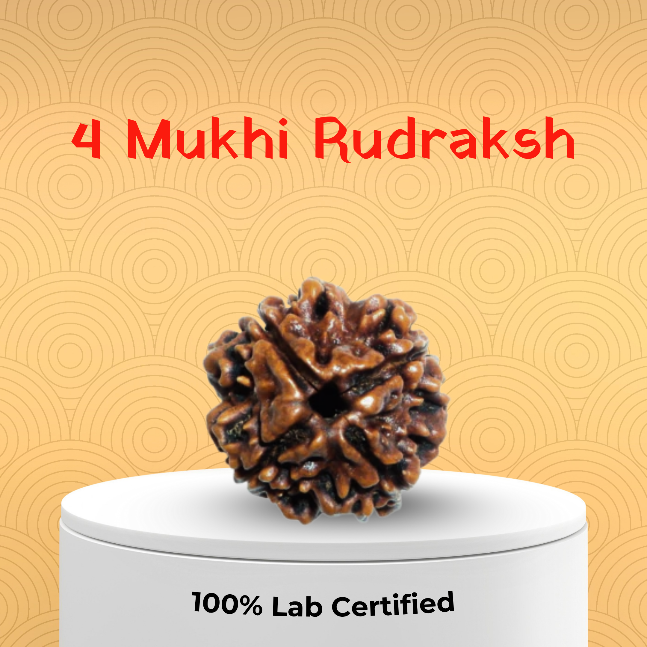4 Mukhi Rudraksh