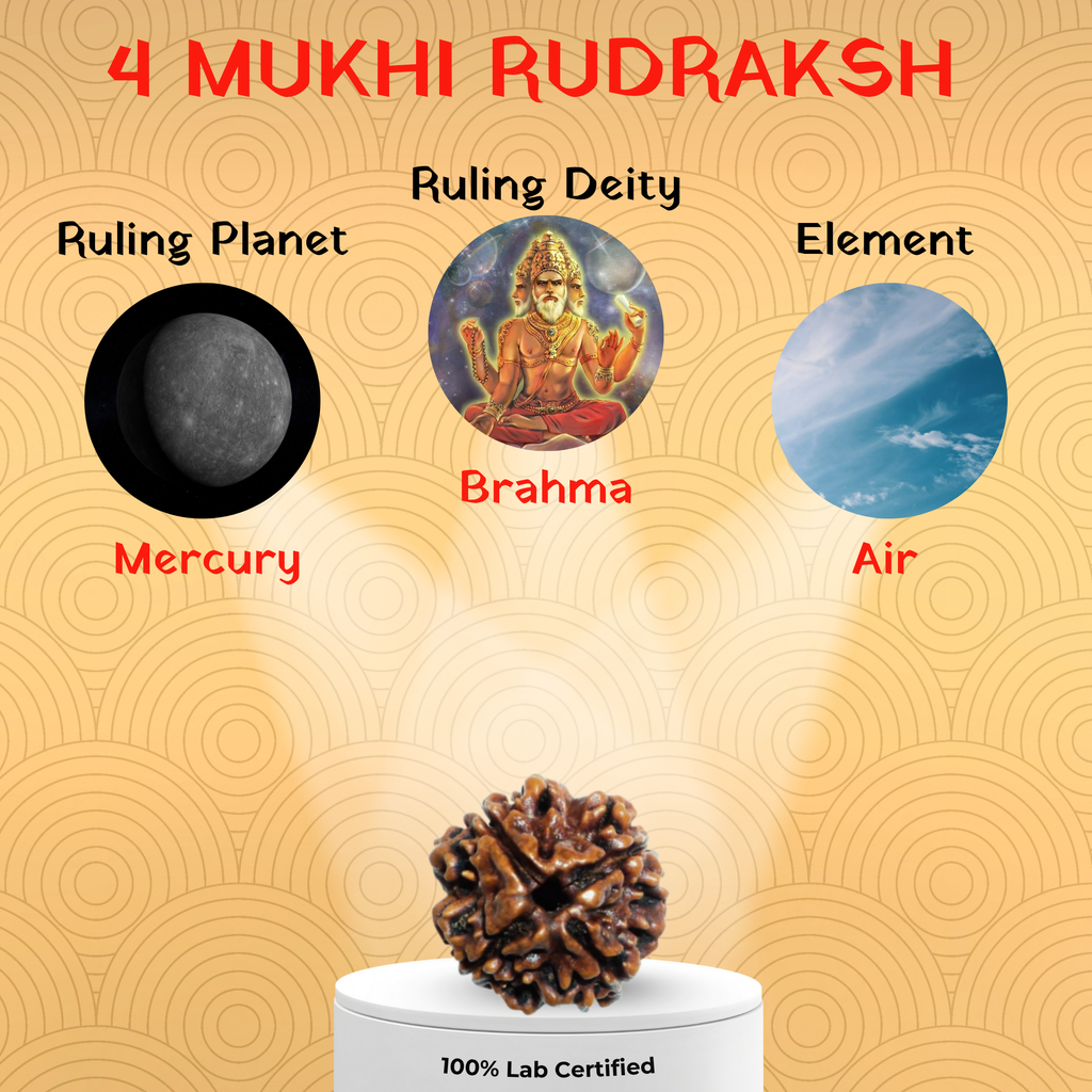 4 Mukhi Rudraksh