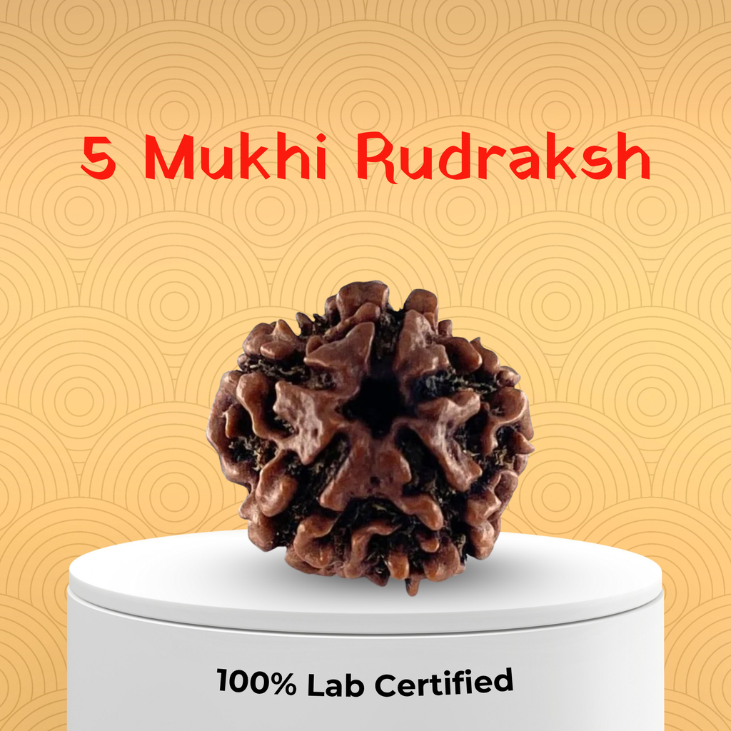 5 Mukhi Rudraksh