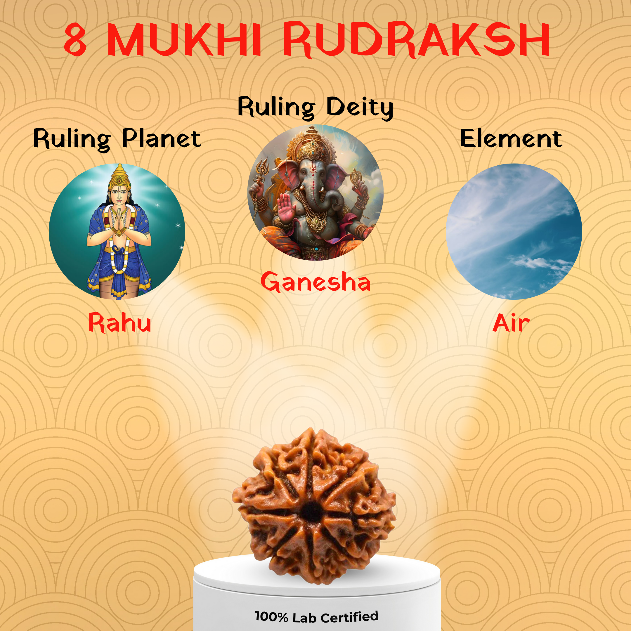 8 Mukhi Rudraksh