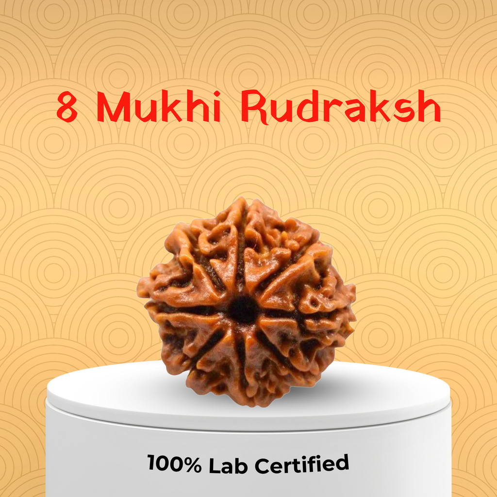 8 Mukhi Rudraksh
