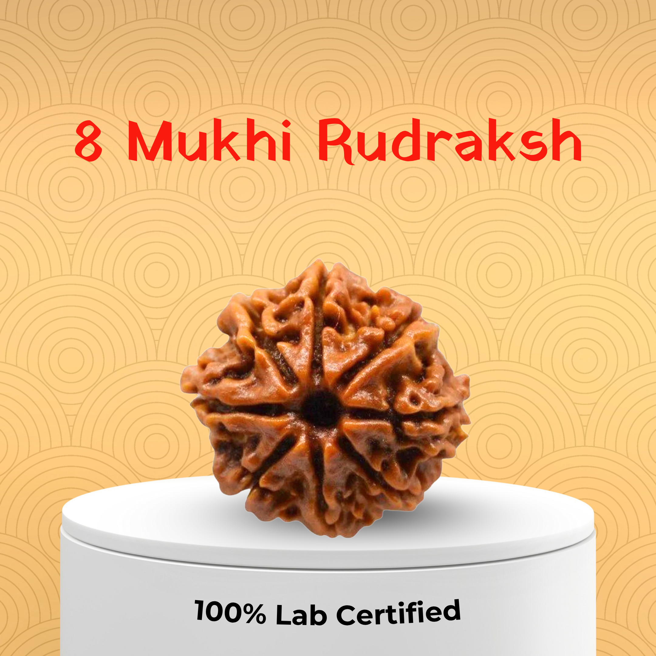 8 Mukhi Rudraksh