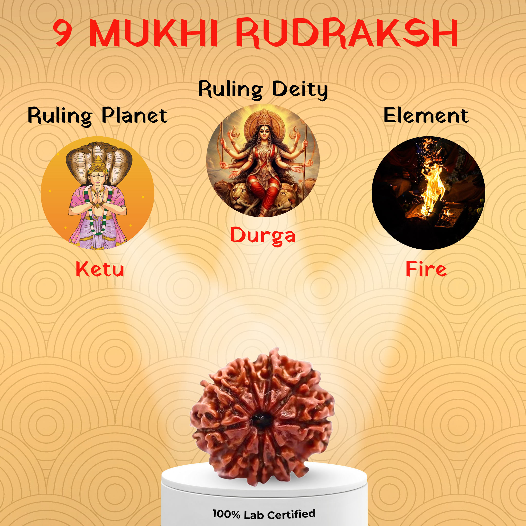 9 Mukhi Rudraksh