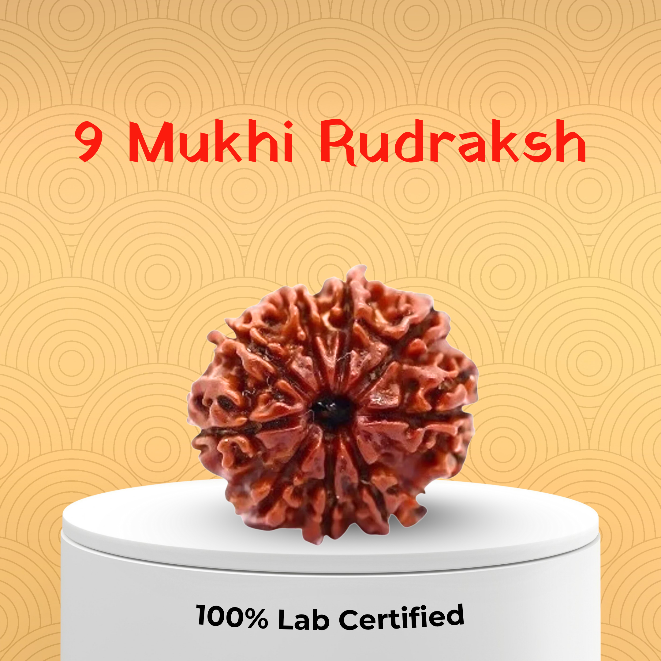 9 Mukhi Rudraksh