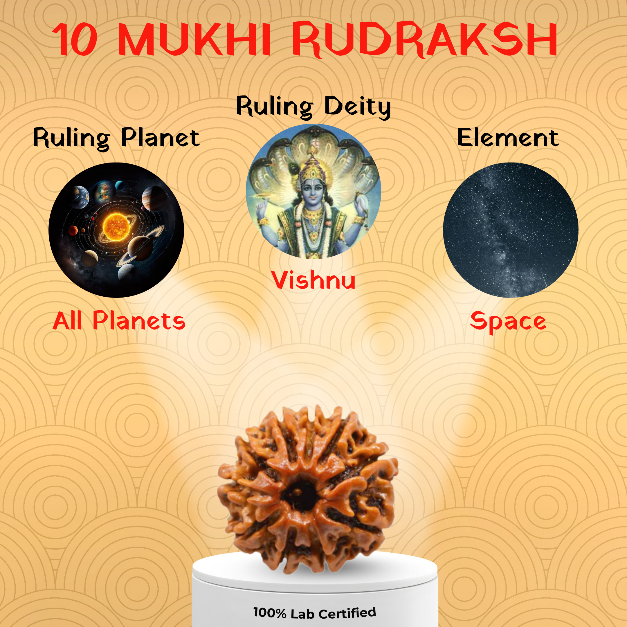 10 Mukhi Rudraksh