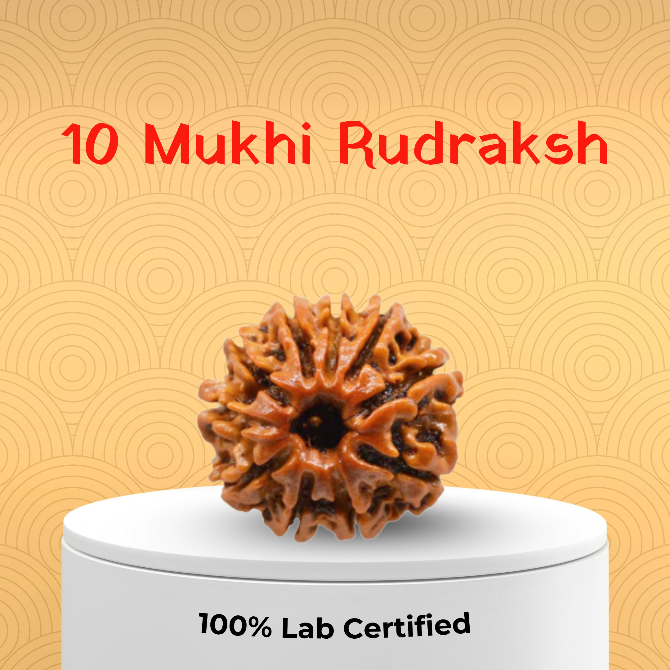 10 Mukhi Rudraksh